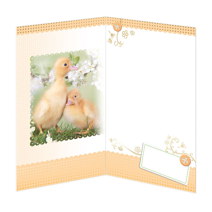 12-682 Velikonoční přání CZ