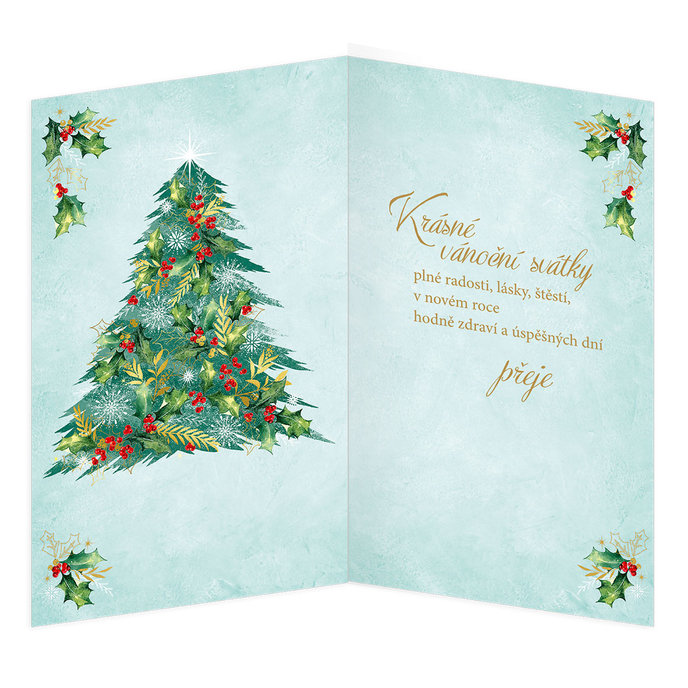 11-6570 Vánoční a novoroční přání CZ