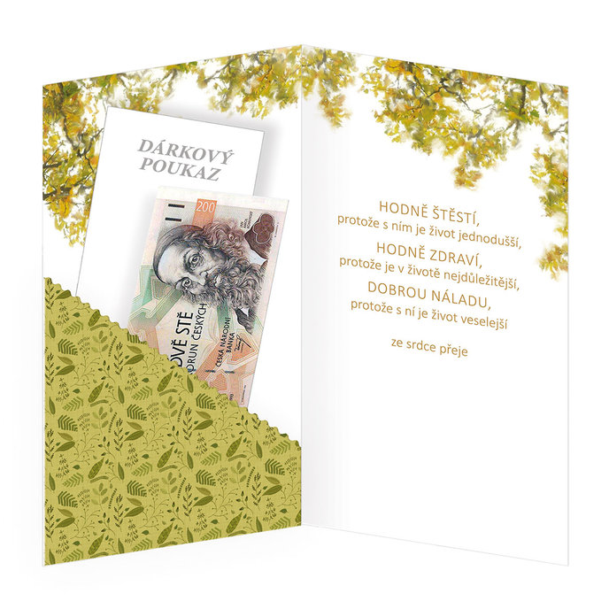 15-6522 Blahopřání gratulační klopa na peníze CZ/50