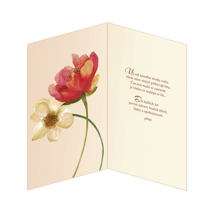 15-6292 Blahopřání gratulační CZ/50