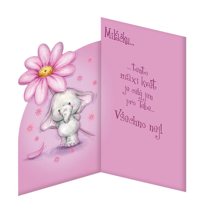 15-6223 Greeting card CZ