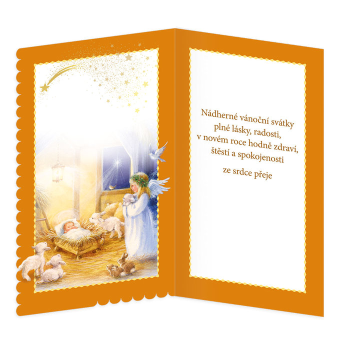 11-6511 Vánoční přání DO CZ
