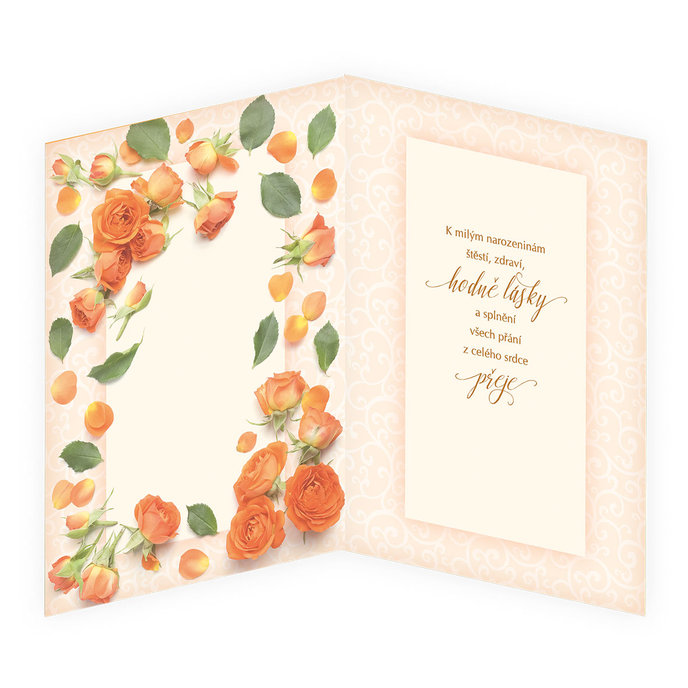 75-673 Blahopřání gratulační CZ/50