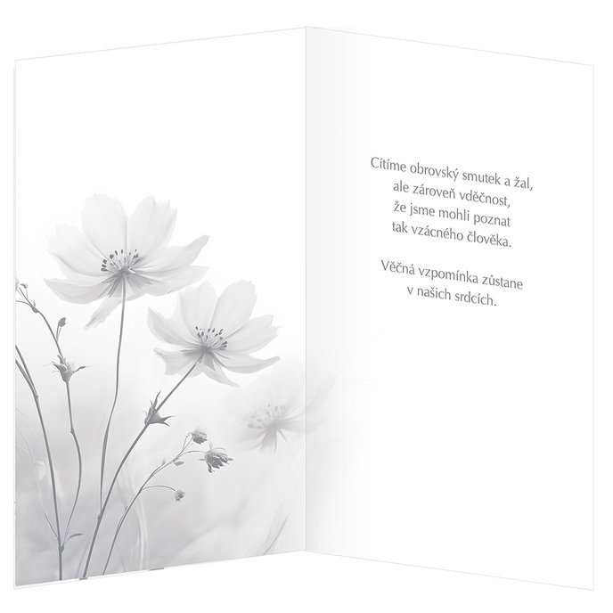 54-601 Blahopřání kondolenční CZ