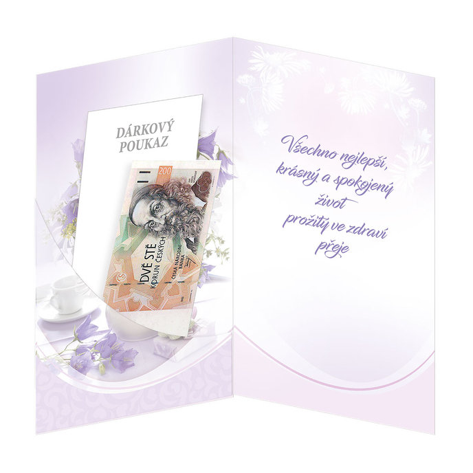 15-6393 Greeting card glued component CZ
