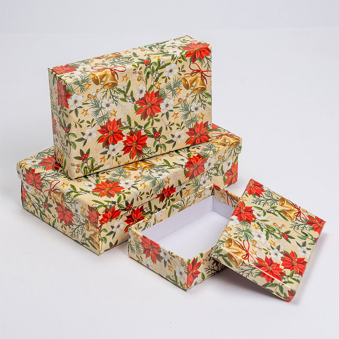 2500-1187 Dárková krabice, set 10ks