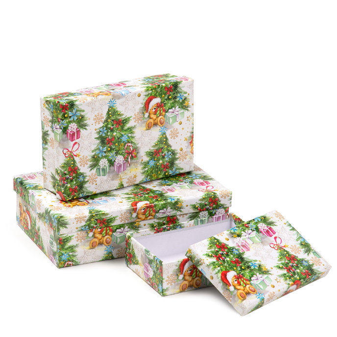 2500-1181 Dárková krabice, set 10ks