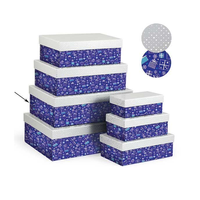 2506-0148 Dárková krabice 30x21x10cm /2500-8148/