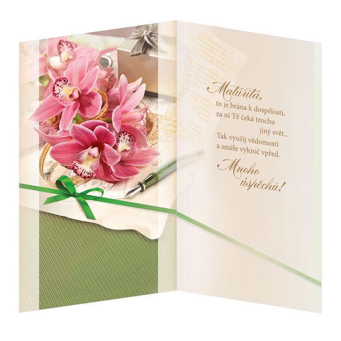 18-6000 Blahopřání k ukončení studia CZ