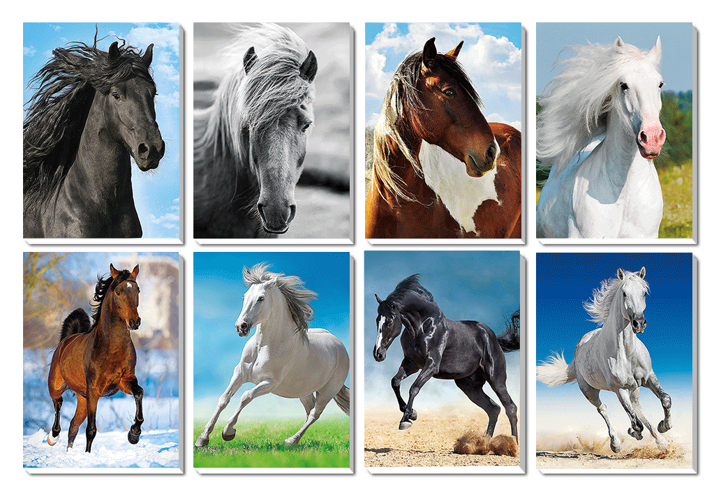 1116-0004 Trhací zápisník s magnetem 3D efekt