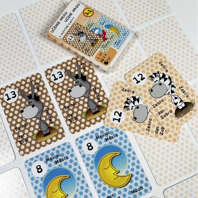 2201-0052 Edukační hrací karty