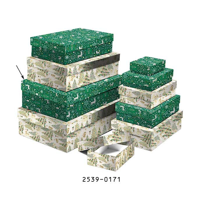 2539-0171 Dárková krabice 24,5x16,5x6,6cm /2500-8171/