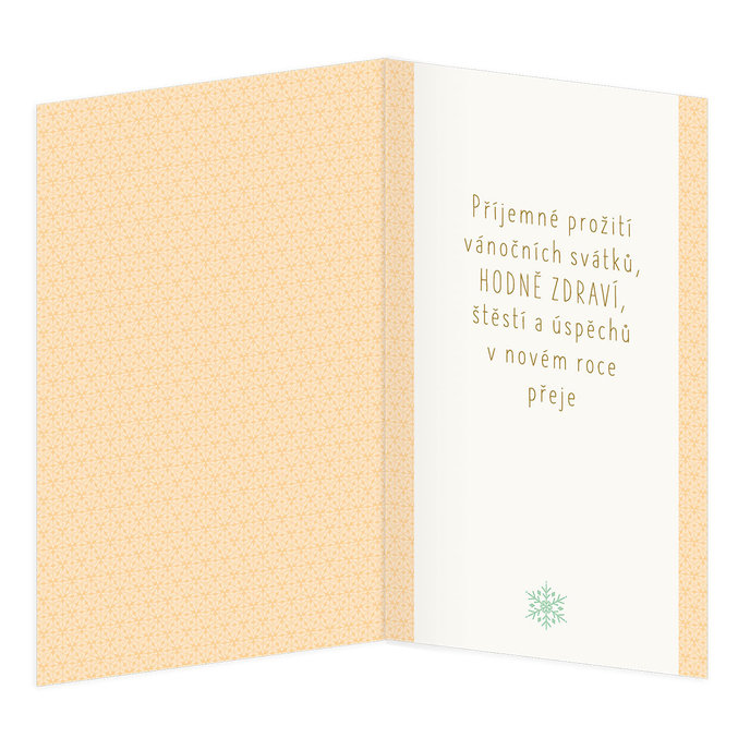 11-6537 Vánoční přání CZ