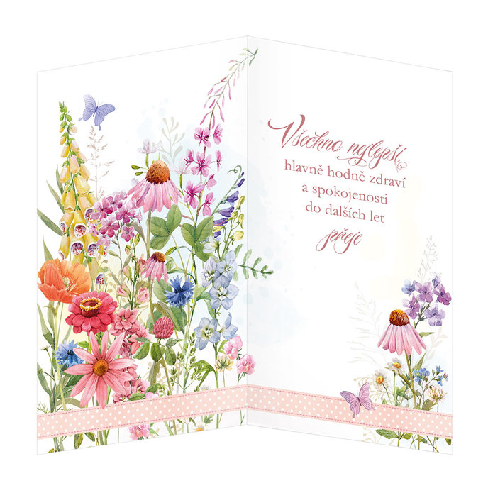 15-6465 Blahopřání gratulační  CZ