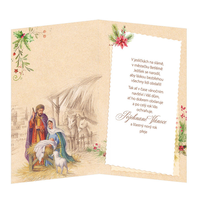 11-6418 Vánoční přání CZ
