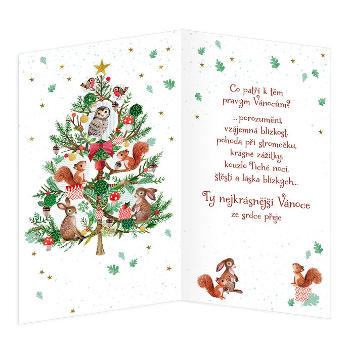 11-6516 Vánoční přání CZ