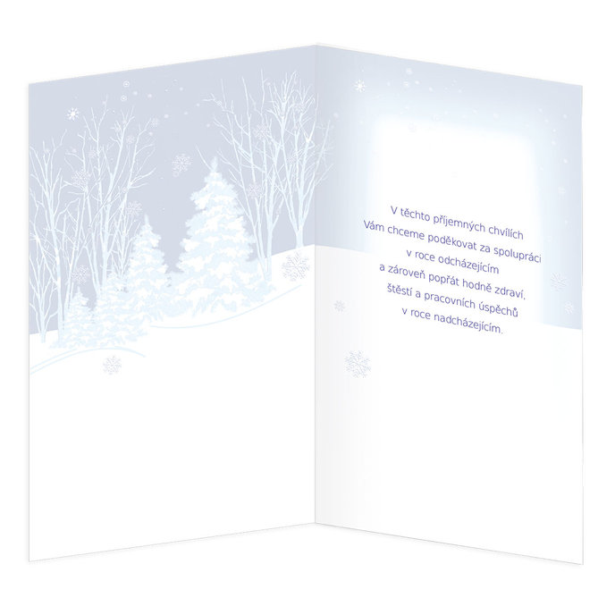 11-6482 Vánoční přání CZ
