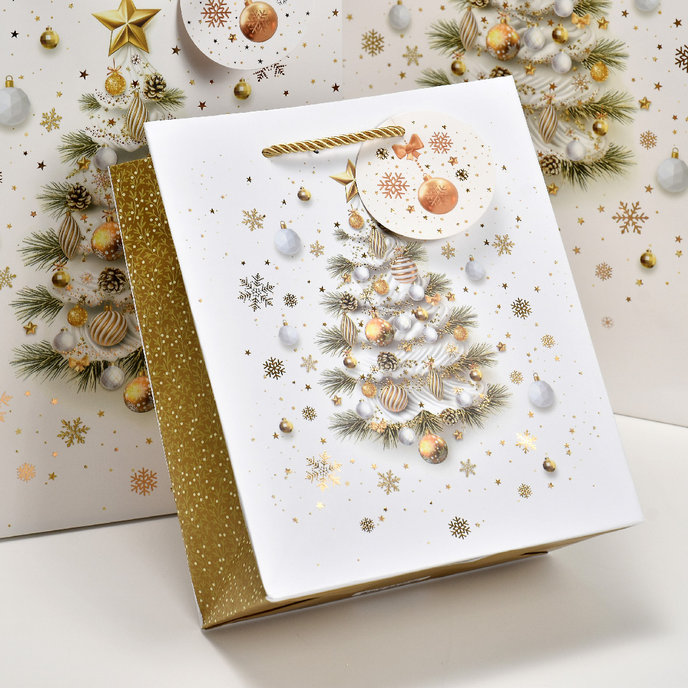 0859-0168 Gift bag LUX