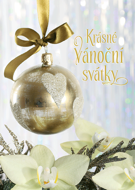 0611-0265c Christmas postcard 3D CZ