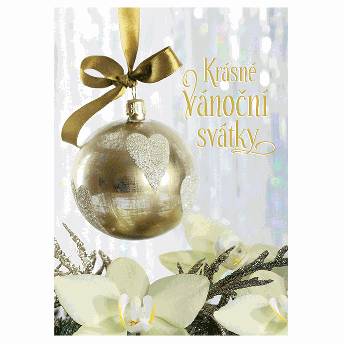 0611-0265c Christmas postcard 3D CZ