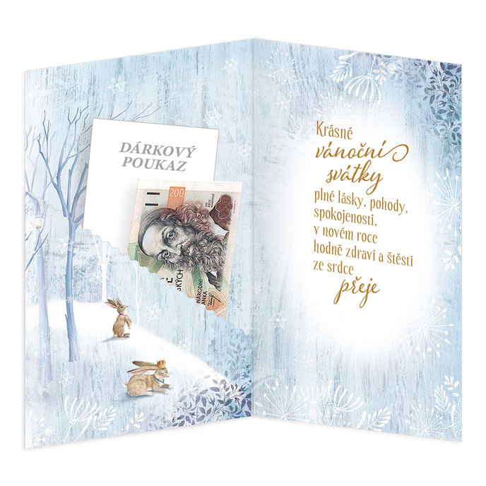 11-6514 Vánoční přání s kapsou na peníze CZ