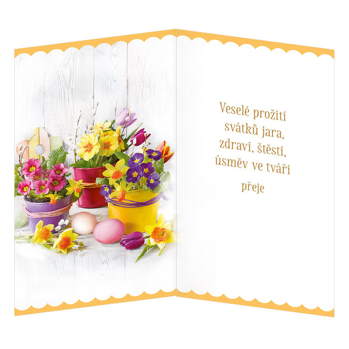 12-6025 Velikonoční přání CZ
