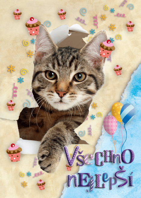 0616-0630c Pohlednice zvířata 3D CZ