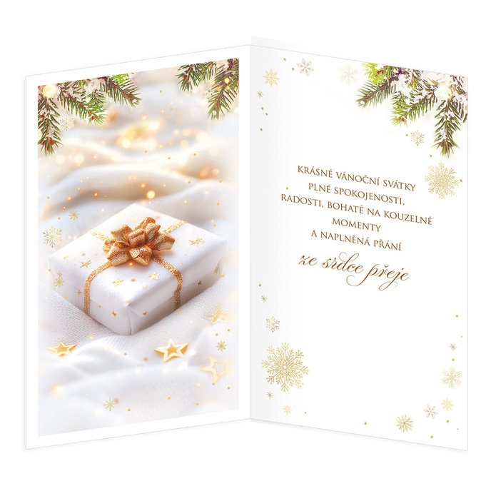 11-6575 Vánoční přání CZ