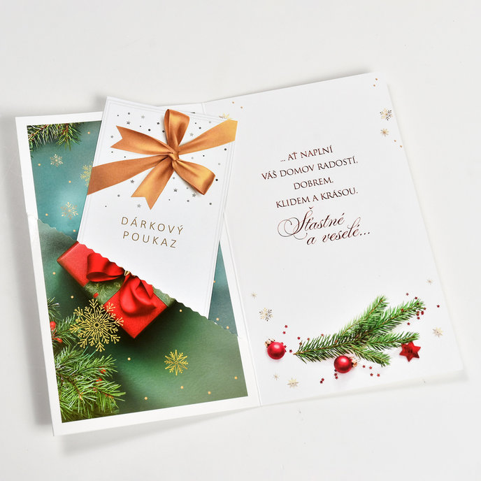 11-6573 Christmas greeting card with leap CZ