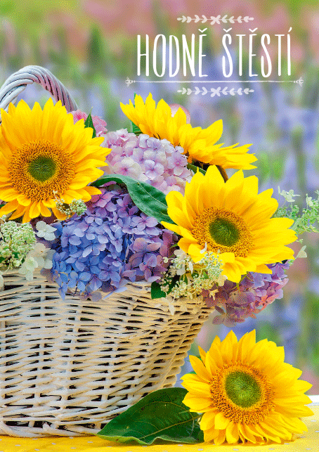 0615-0579c Pohlednice gratulační CZ