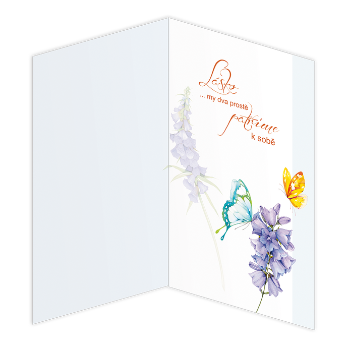 15-6137 Blahopřání gratulační CZ