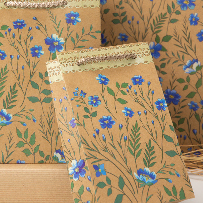 0754-0146 Dárková taška NATUR