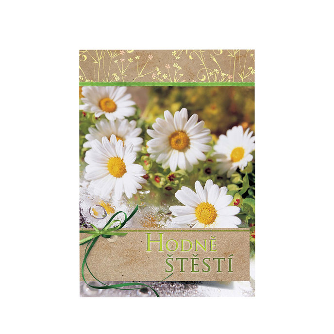 0615-0574c Pohlednice gratulační CZ