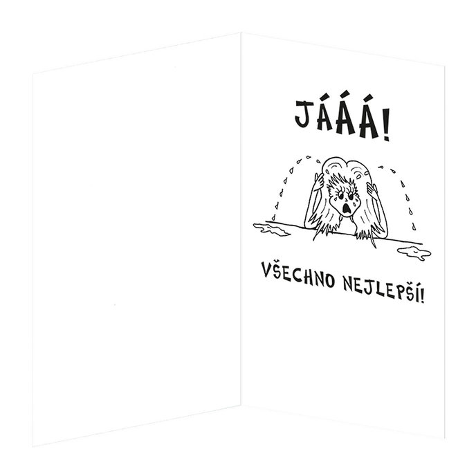 190-650c Blahopřání gratulační  CZ