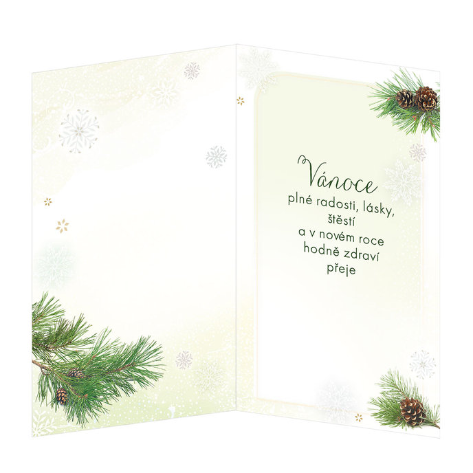 11-6382-2 Christmas greeting card CZ