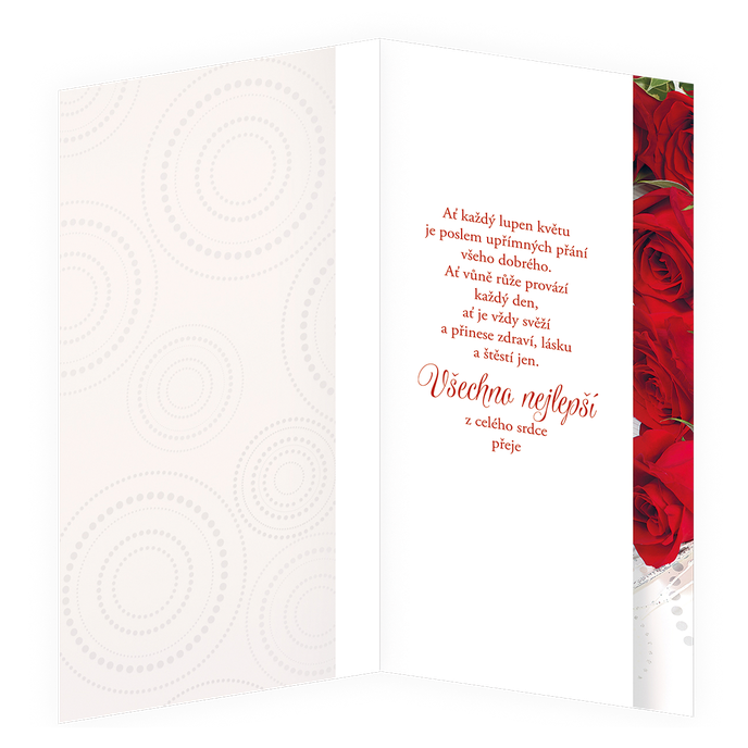 85-622 Blahopřání gratulační  CZ