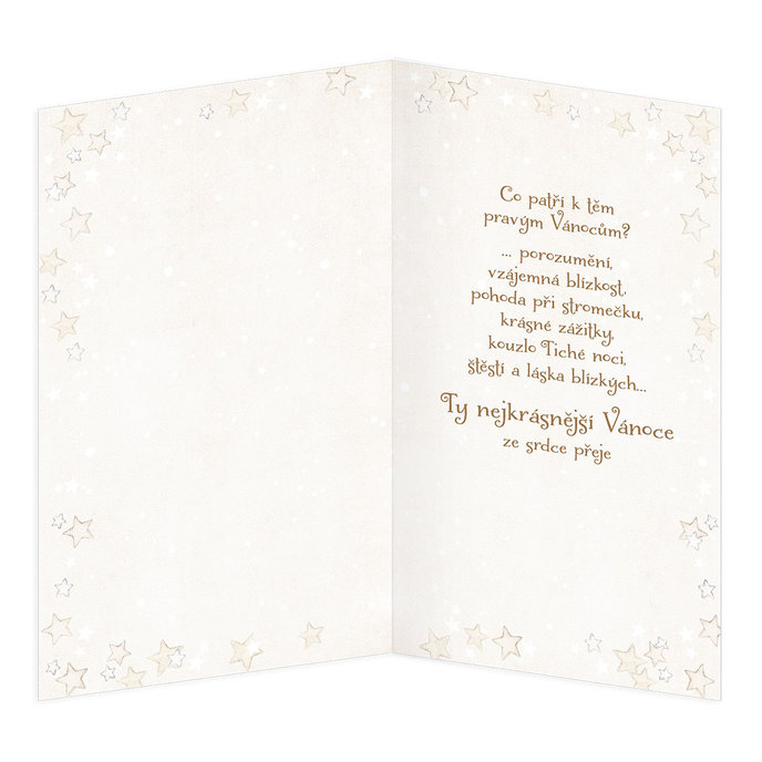 11-6495 Vánoční přání CZ