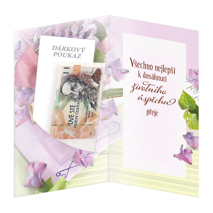 18-696 Blahopřání k ukončení studia CZ