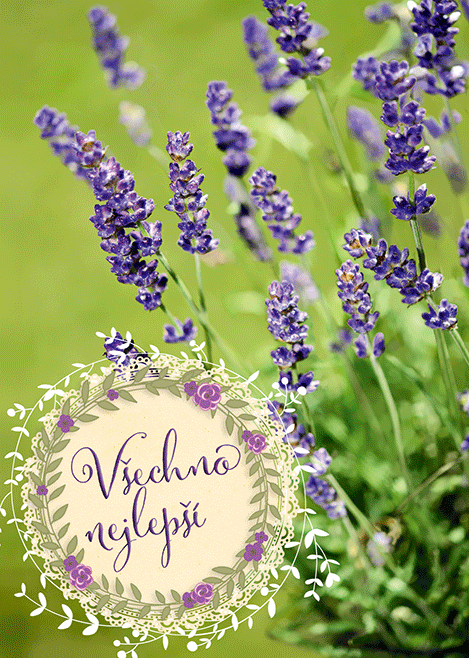 0615-0578c Pohlednice gratulační CZ