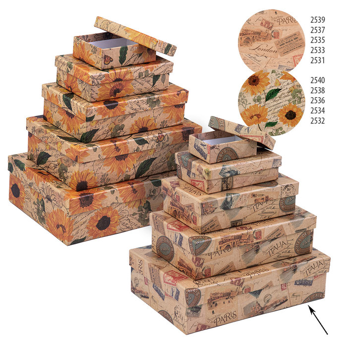 2539-0159 Dárková krabice 24,5x16,5x6,6cm /2500-8159/