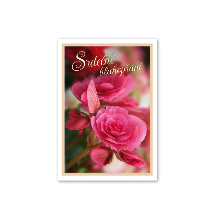 0615-0581c Card for birthdays, name days CZ