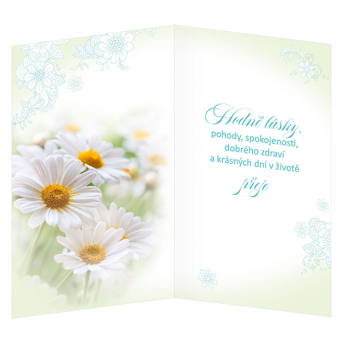15-6538 Greeting card  CZ