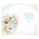 15-6538 Greeting card  CZ