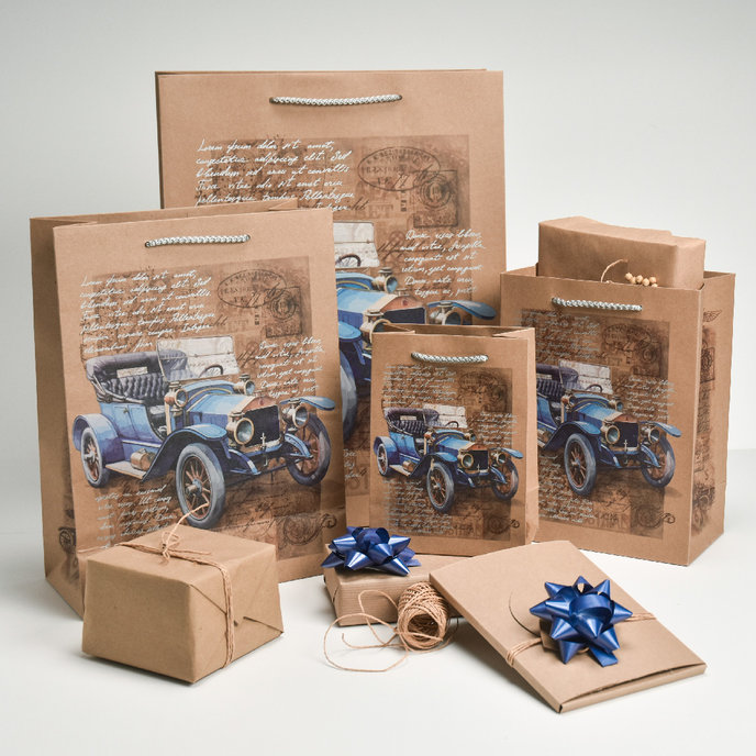 0784-0145 Dárková taška NATUR