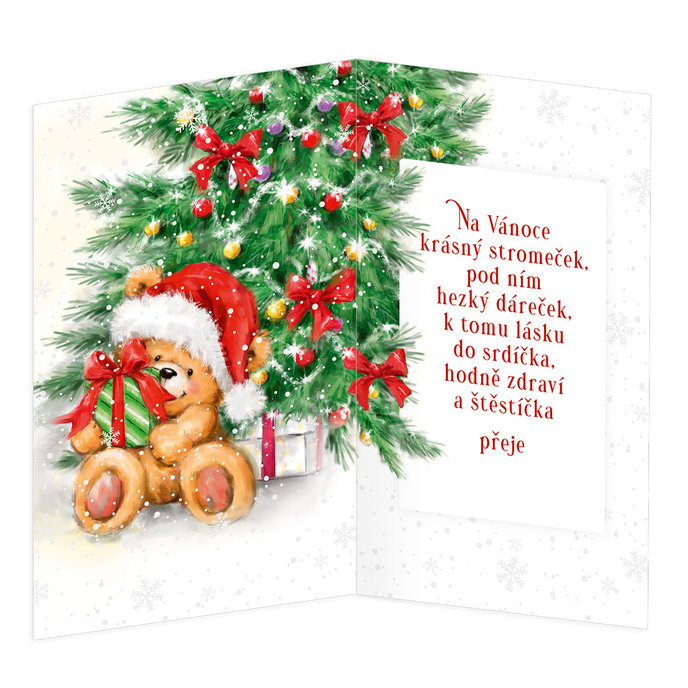 11-6513 Vánoční přání CZ