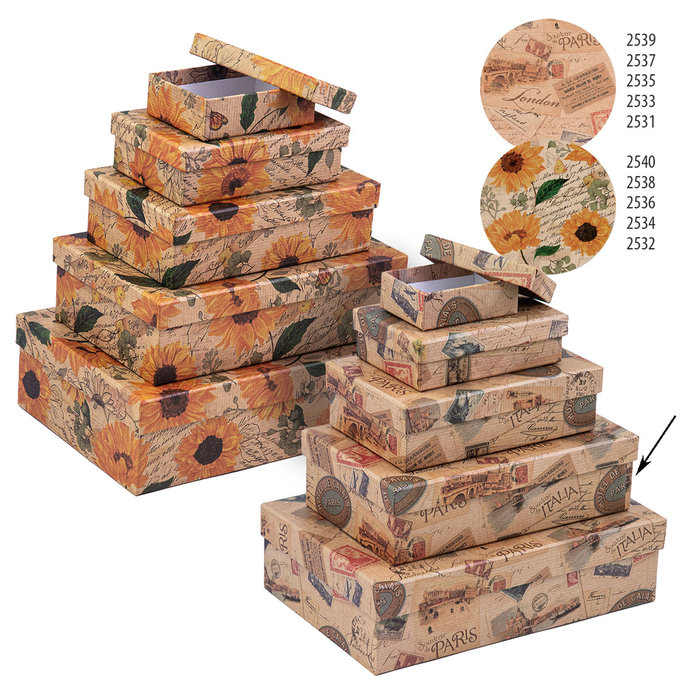 2537-0159 Dárková krabice 20,7x12,7x5,7cm /2500-8159/