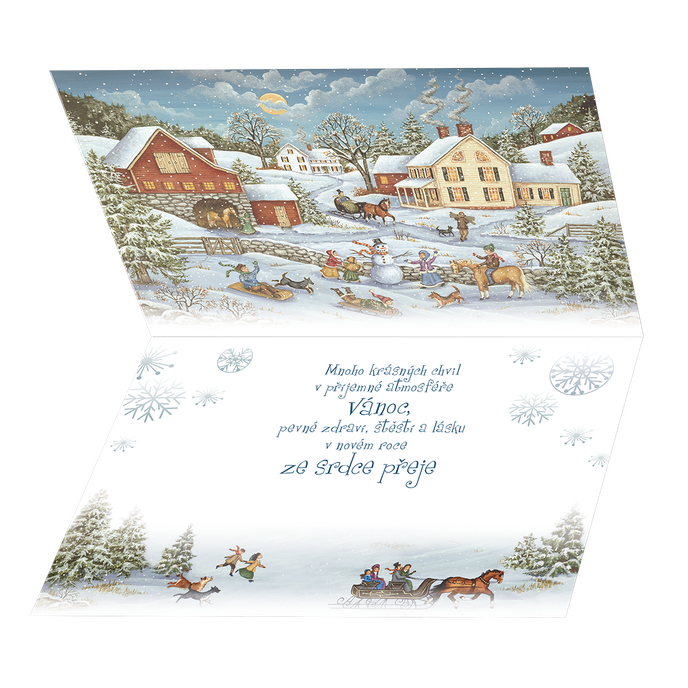 71-9007c Vánoční přání 3D CZ