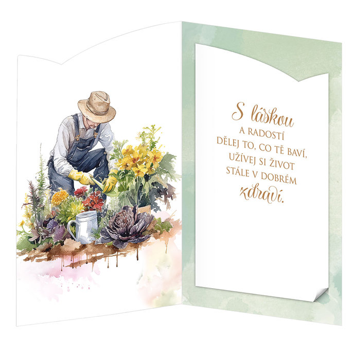 15-6588 Blahopřání gratulační  CZ/55