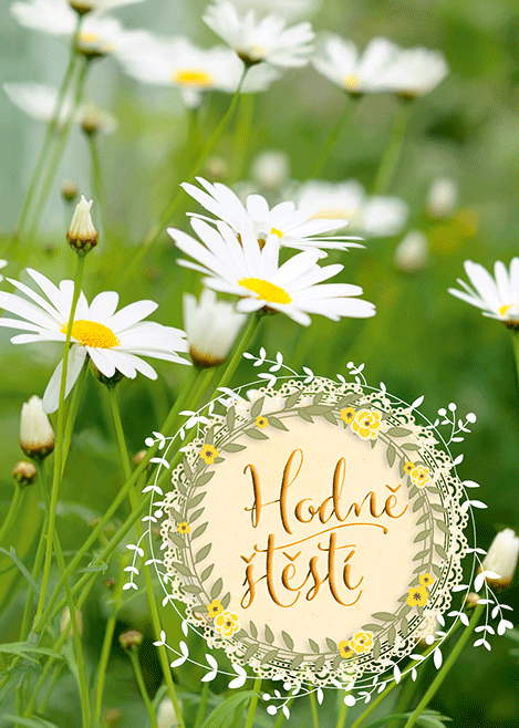 0615-0578c Pohlednice gratulační CZ