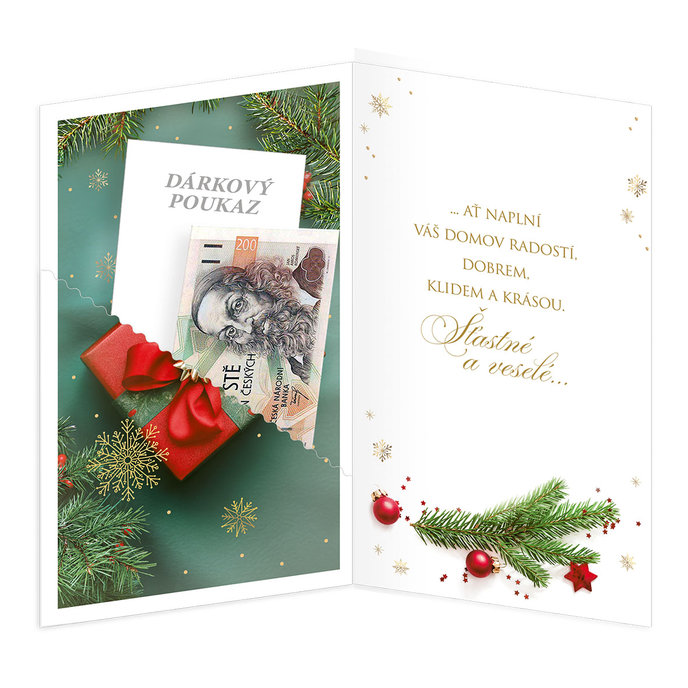 11-6573 Christmas greeting card with leap CZ